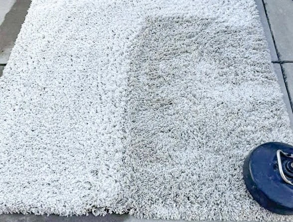 Before Area Rug Cleaning